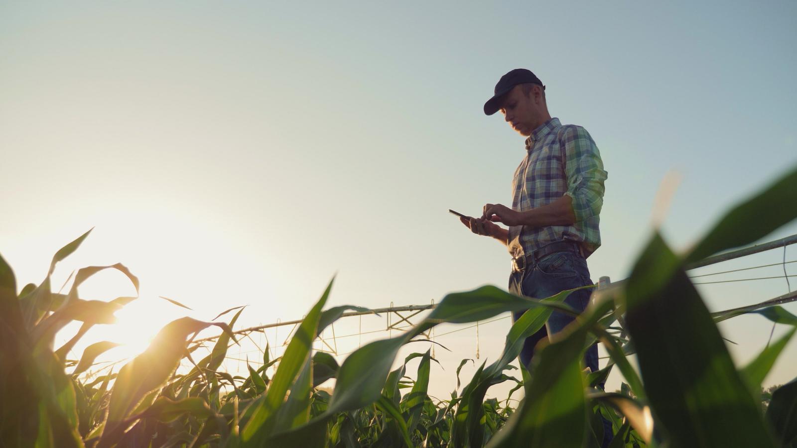 ZERNOTRADE - Demetra Holding