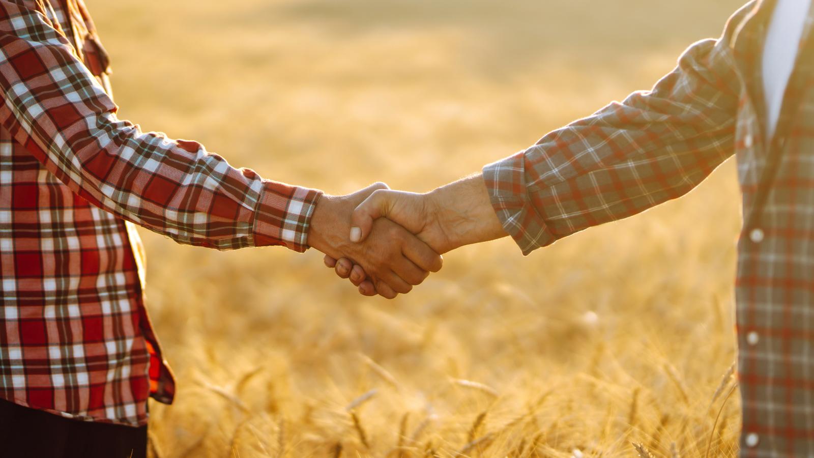 ZERNOTRADE — تصدير الحبوب