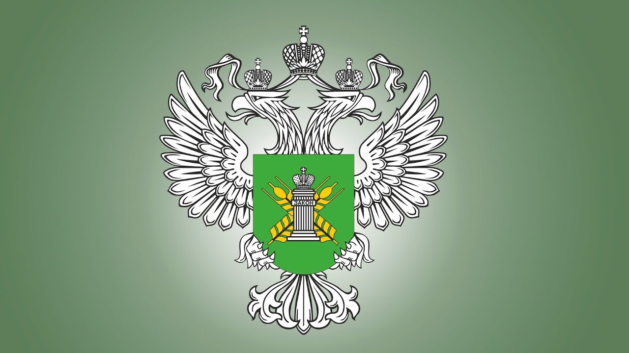 Phytosanitary certificate — sample