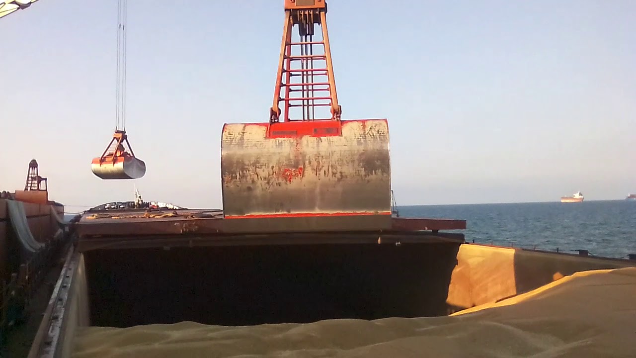 CIF delivery — grain to port of destination