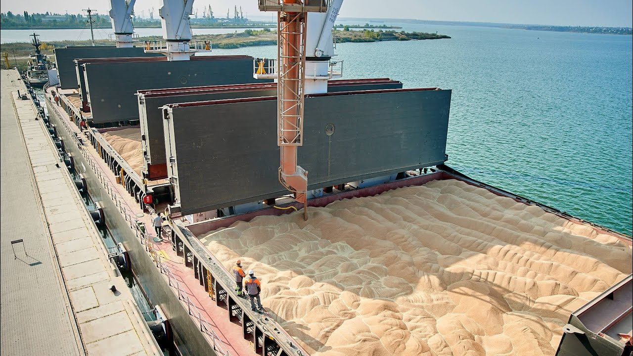 Novorossiysk port — grain export